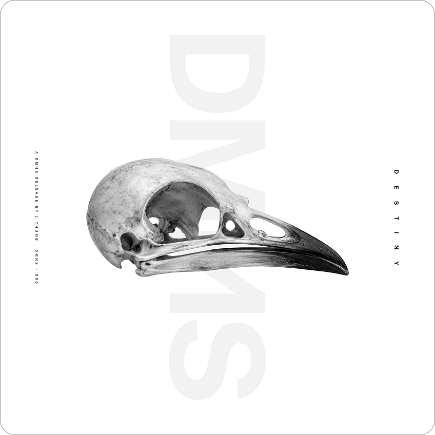 DMNS album artwork