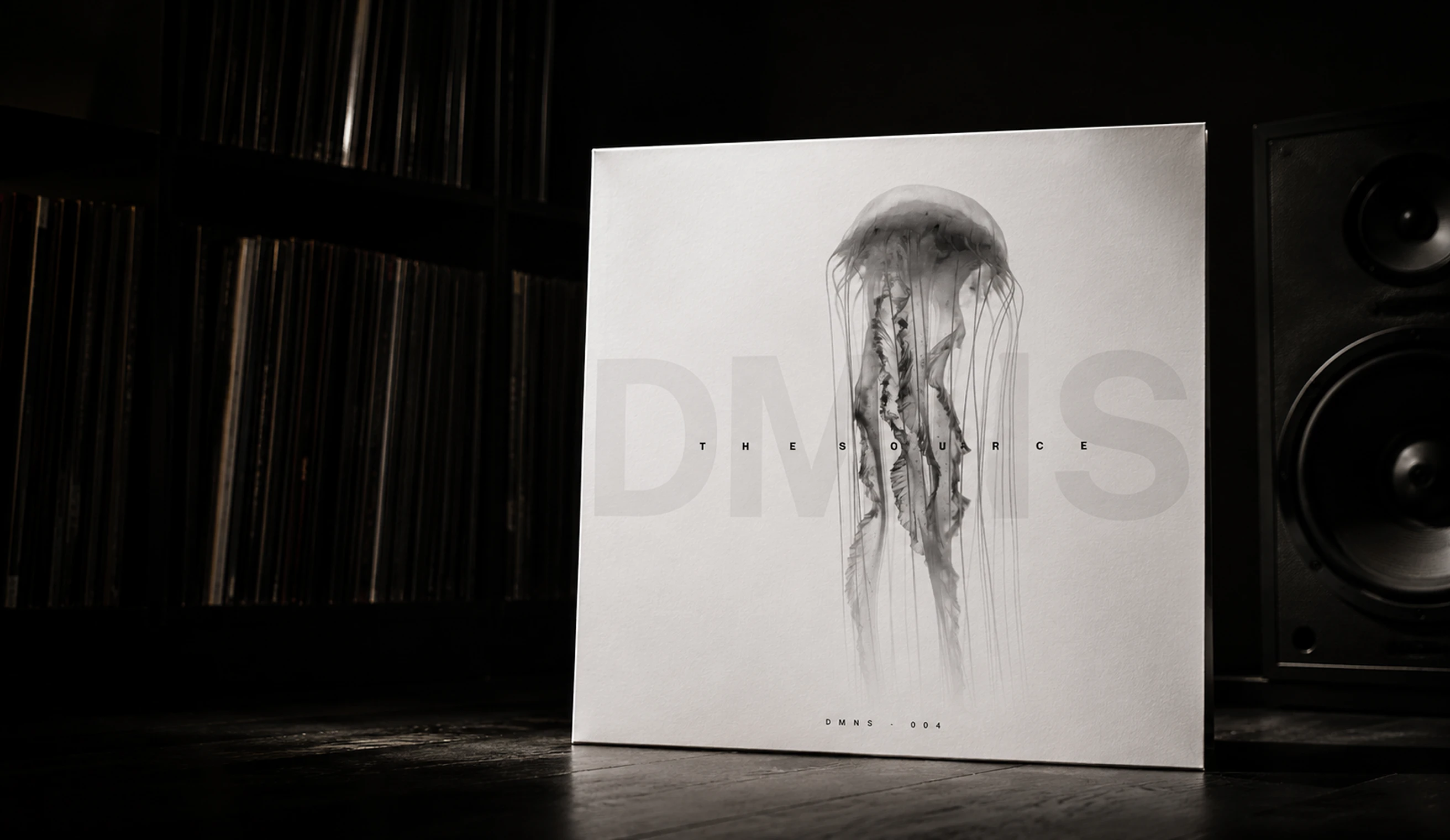 DMNS visual identity